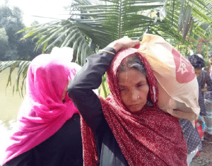 340004169_539188225053287_6268273782073630389_n (3) (1)