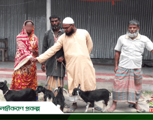 স্বাবলম্বীকরণ প্রকল্প ছাগল বিতরণ (1) (1)